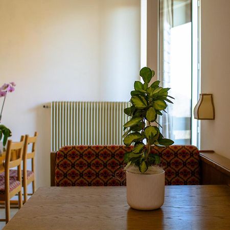 Locanda La Ruscoletta Telve Exteriér fotografie